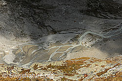 F071128: Schwemmebene vor Steilimigletscher (Steinlimigletscher)