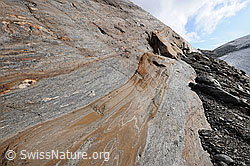 F071223: Vom Gletscher geschliffene Felsen