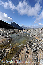 F071304: Gletscherschliff, Gletscherbach und Hübschhorn