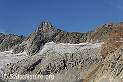 F071620: Hiendertelltihorn und Gruebengletscher