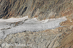 F071621: Gruebengletscher, Haslital