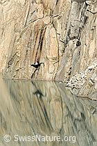 F071629: Felswand mit Spiegelung