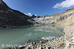 F071641: Gruebengletscher und Gruebensee mit Spiegelbild