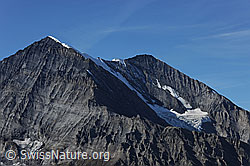 F071843: Balmhorn und Altels