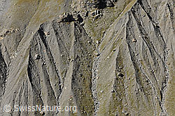 F071924: Erosion