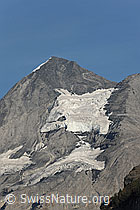 F071955: Blüemlisalphorn und Obere Oeschinengletscher
