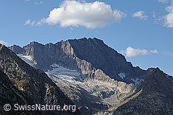 F072174: Ritzlihorn, Ärlengrätli und Ärlengletscher