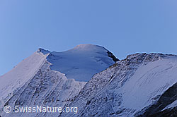 F072278: Bishorn und Turtmanngletscher am frühen Morgen