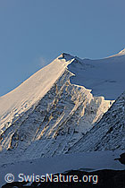 F072310: Morgenstimmung am Bishorn