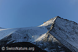 F072329: Stierberg und Turtmanngletscher