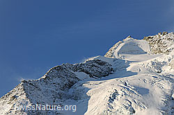 F072331: Les Diablons und Diablonsgletscher im Morgenlicht