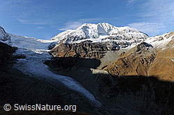 F072342: Herbstbild Gletscher und Berge im Turtmanntal