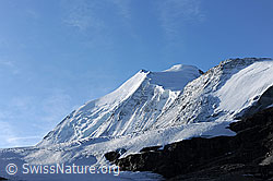 F072350: Brunegggletscher und Bishorn