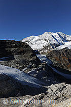F072379: Brunegggletscher, Turtmanngletscher und Diablonsgletscher