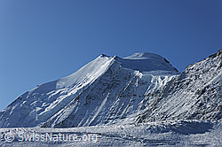 F072389: Bishorn, Turtmanngletscher und Brunegggletscher