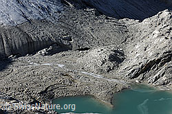 F072402: Brunegggletscher: Zunge, Tor, Gletscherbach und Gletschersee