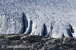 F072403: Randspalten am Brunegggletscher