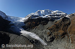 F072430: Les Diablons, Turtmanngletscher und Diablonsgletscher