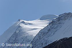 F072489: Bishorn mit Spur