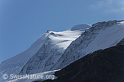 F072490: Bishorn
