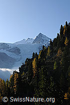 F072806: Nadelhorn, Stecknadelhorn, Hobärghorn und Dirruhorn (Mischabel)