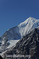 F072840: Weisshorn und Bisgletscher