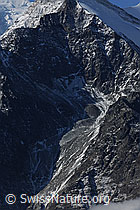 F072843: Holzgletscher