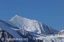 F072846: Bishorn und Bruneggjoch