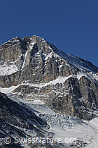 F072853: Üssers Barrhorn und Unter Stelligletscher