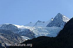 F073007: Riedgletscher vor Mischabel