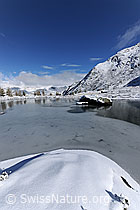 F073220: Eisbedeckter Mässersee