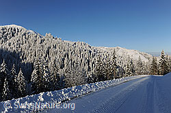 F073732: Morgenstimmung Winterlandschaft