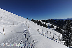 F073980: Schneebedeckter Weg in Hügellandschaft mit verschneiten Wäldern