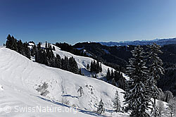 F073981: Napfgebiet
