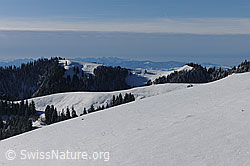 F074004: Schneebedeckte Hügel des Emmentals