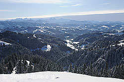 F074010: Verschneite Tannenwälder in der Hügellandschaft des Emmentals