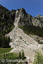 F075720: Bergsturz Schwarzbrunnenfluh