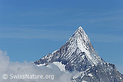 F075887: Finsteraarhorn von SE