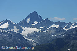 F076977: Hinteres Galmihorn, Finsteraarhorn und Oberaarhorn