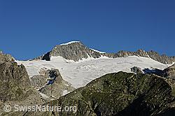 F076982: Galenstock