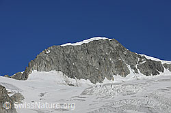 F076996: Galenstock von SE