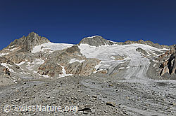 F077019: Auf dem Tiefengletscher