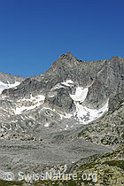 F077072: Gletschhorn von S