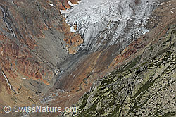F077175: Zunge des Chelengletschers