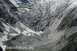 F077237: Zunge des Dammagletschers