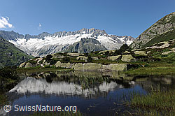 F077271: Dammagletscher mit Spiegelung