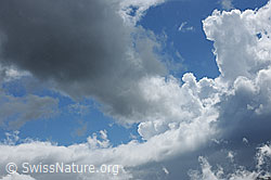 F077551: Wolkenhimmel