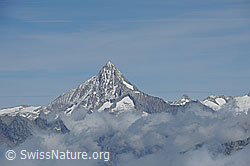 F077751: Bietschhorn ragt aus Wolkenmeer