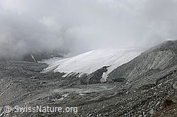 F078158: Nebelstimmung am Schwarzberggletscher