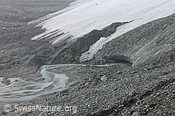 F078164: Gletschertor am Schwarzberggletscher